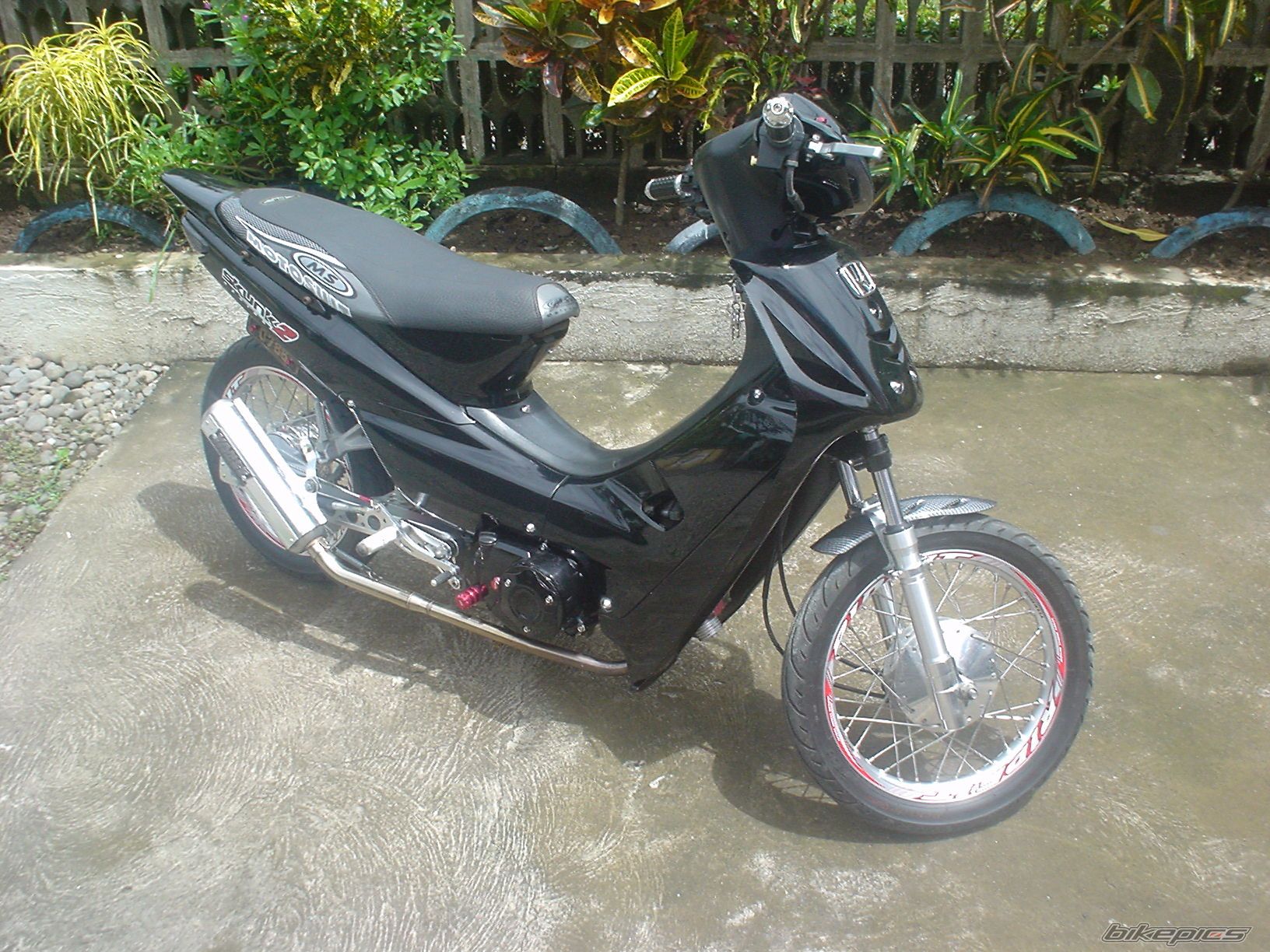 Photo 1310311