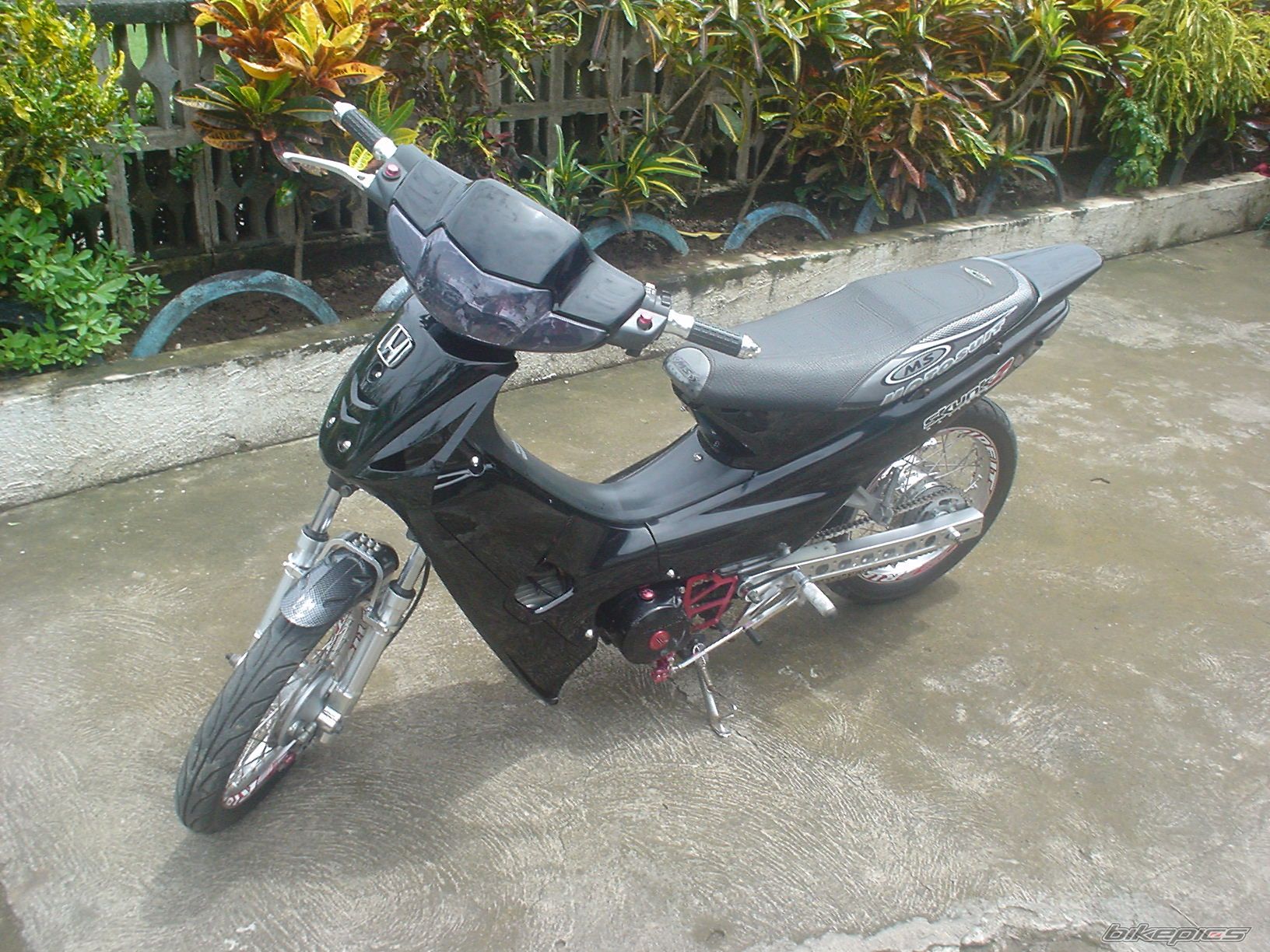 Photo 1310313