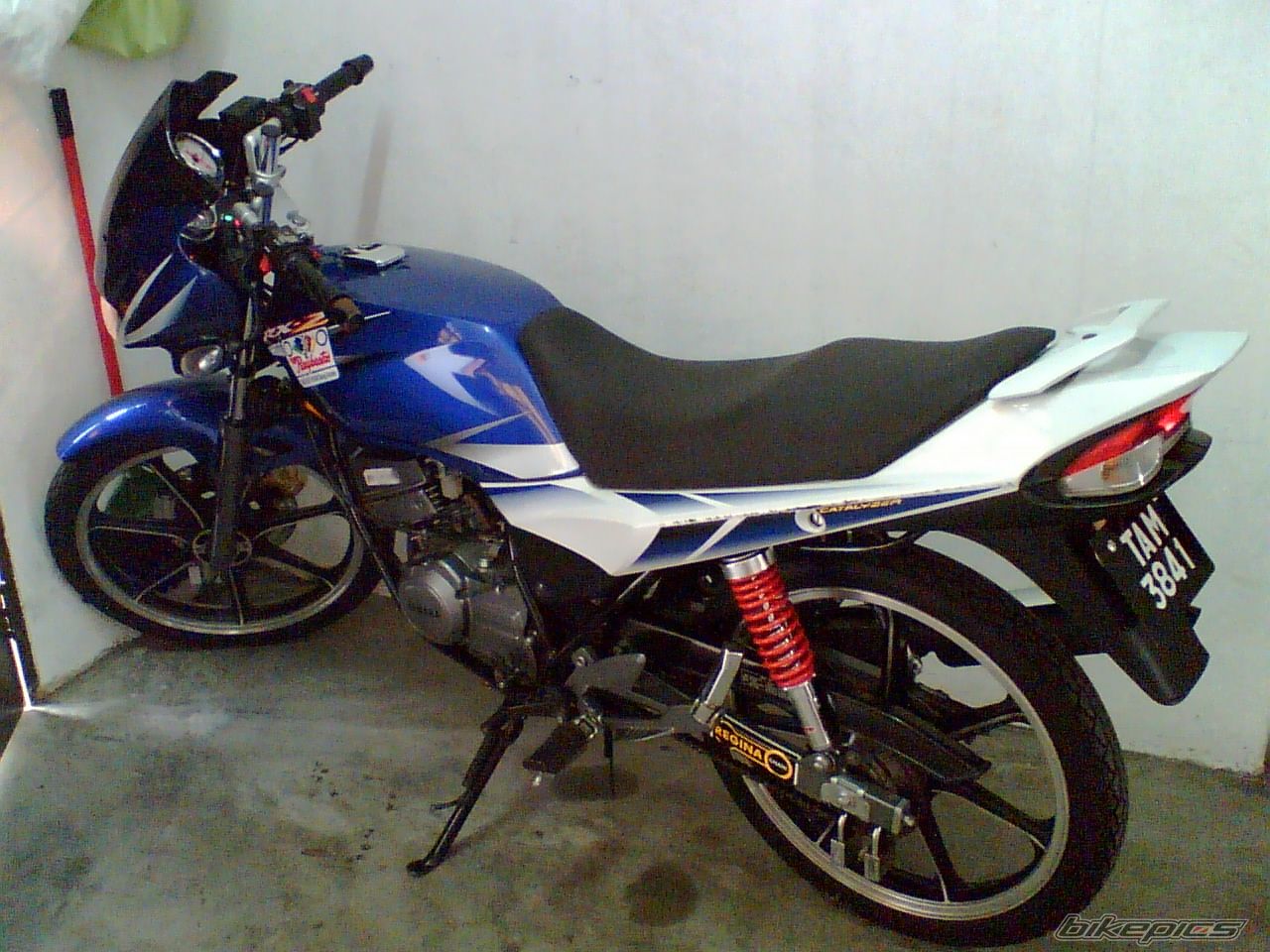 Photo 1310340