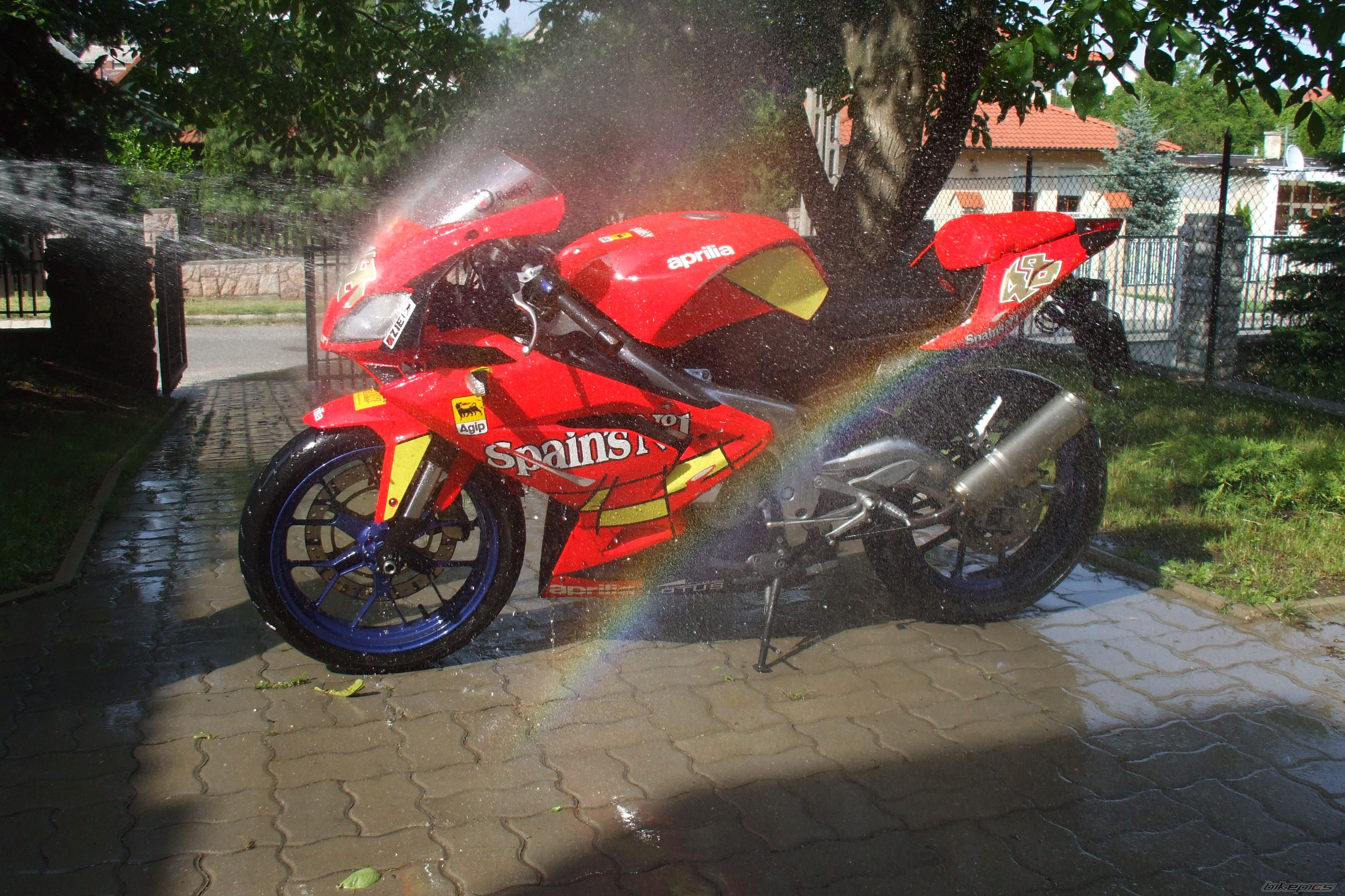 Photo 1310348