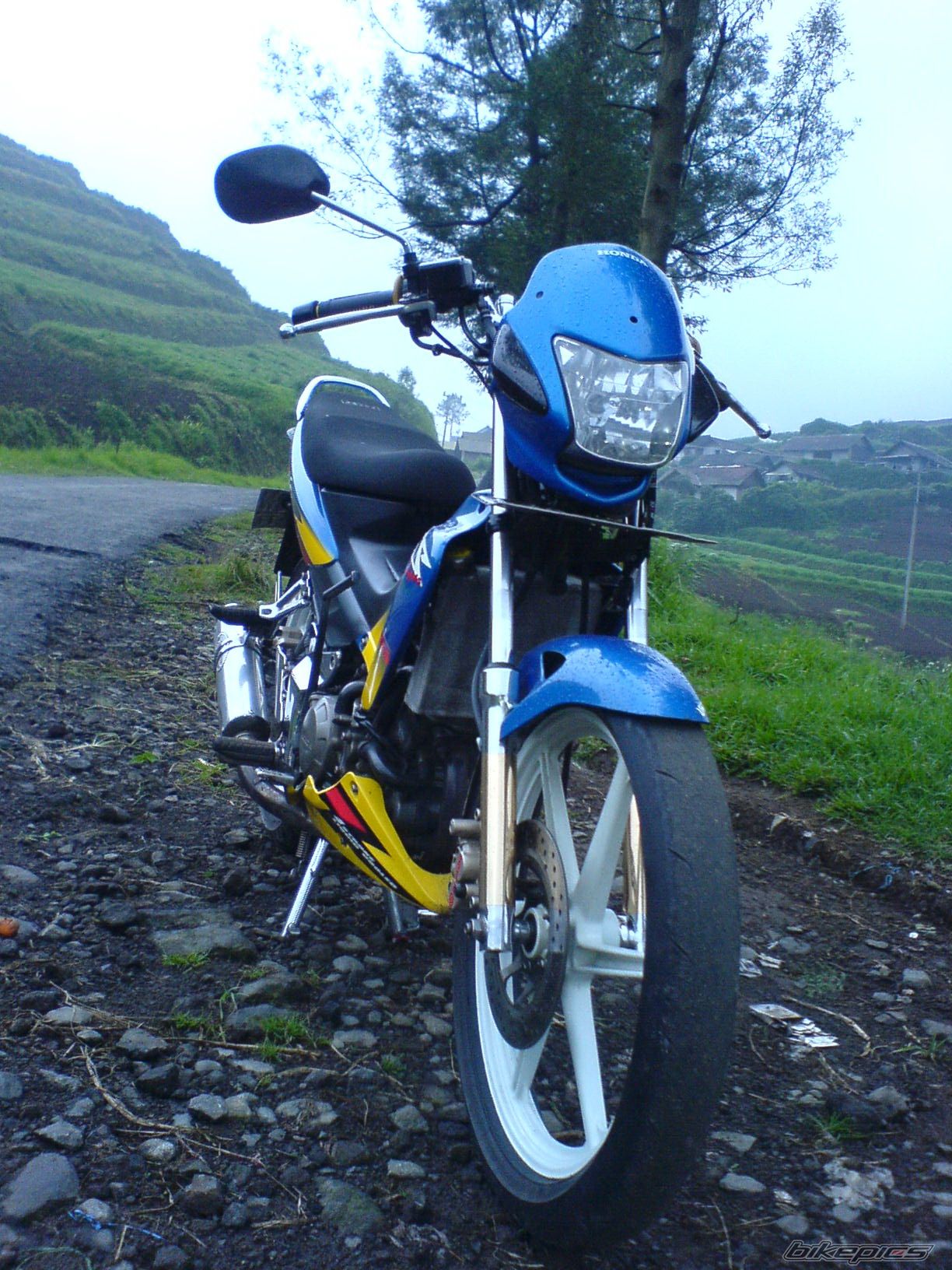 Photo 1310490