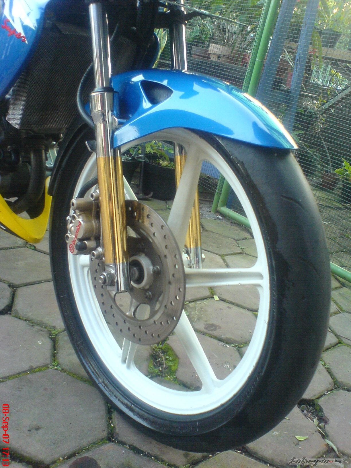 Photo 1310492
