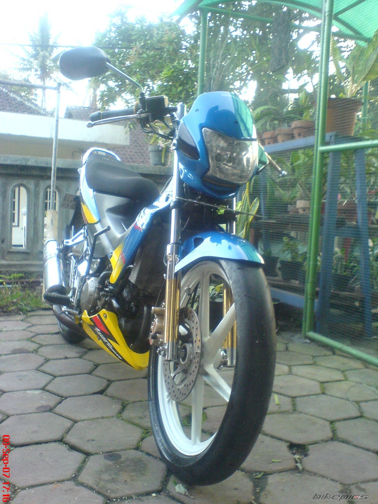 Photo 1310499