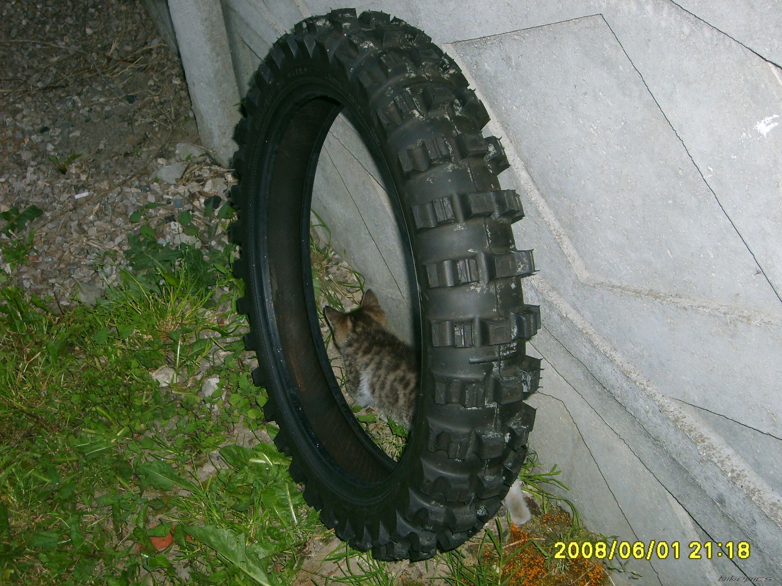 Photo 1310514