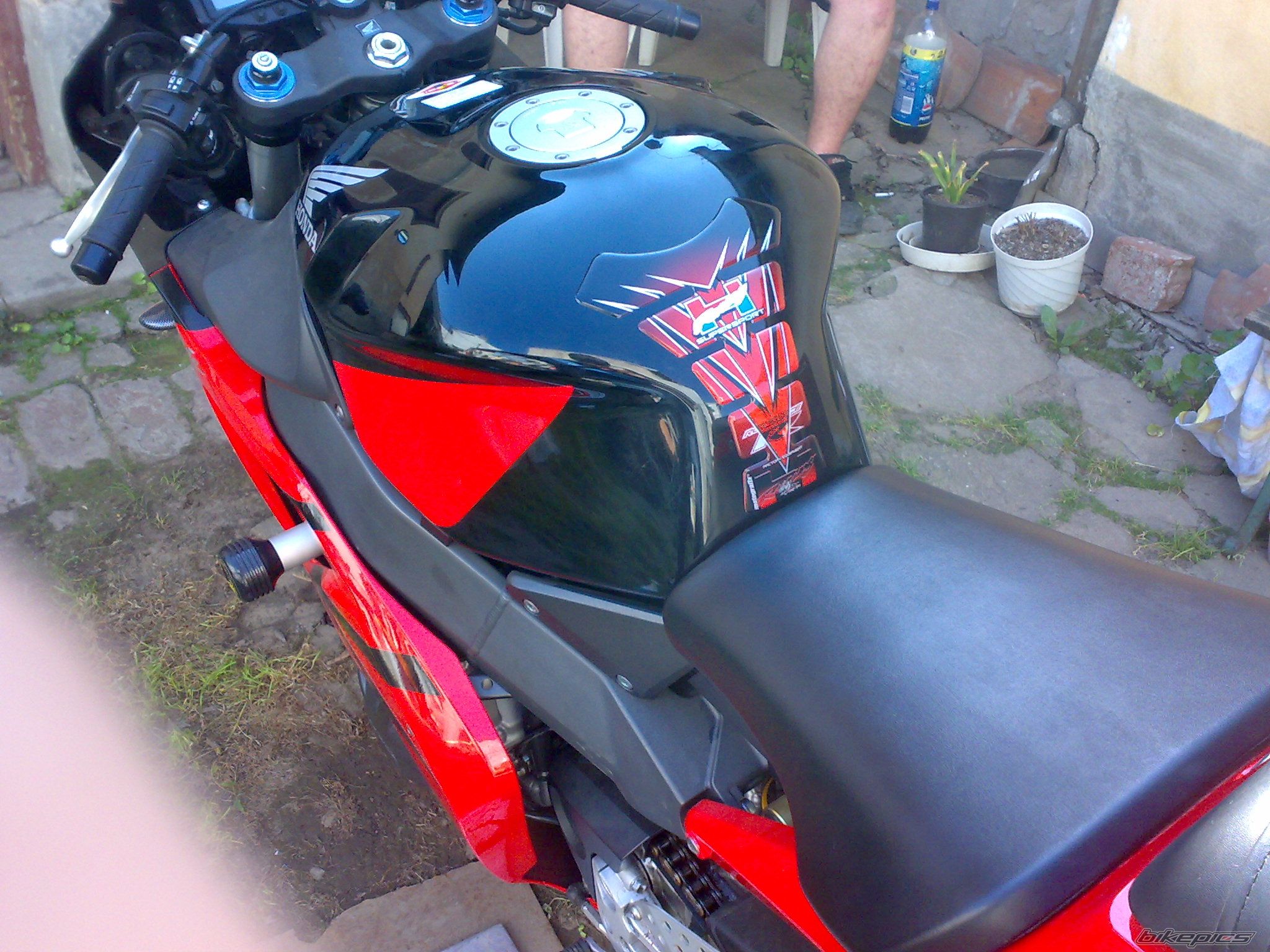 Photo 1310594