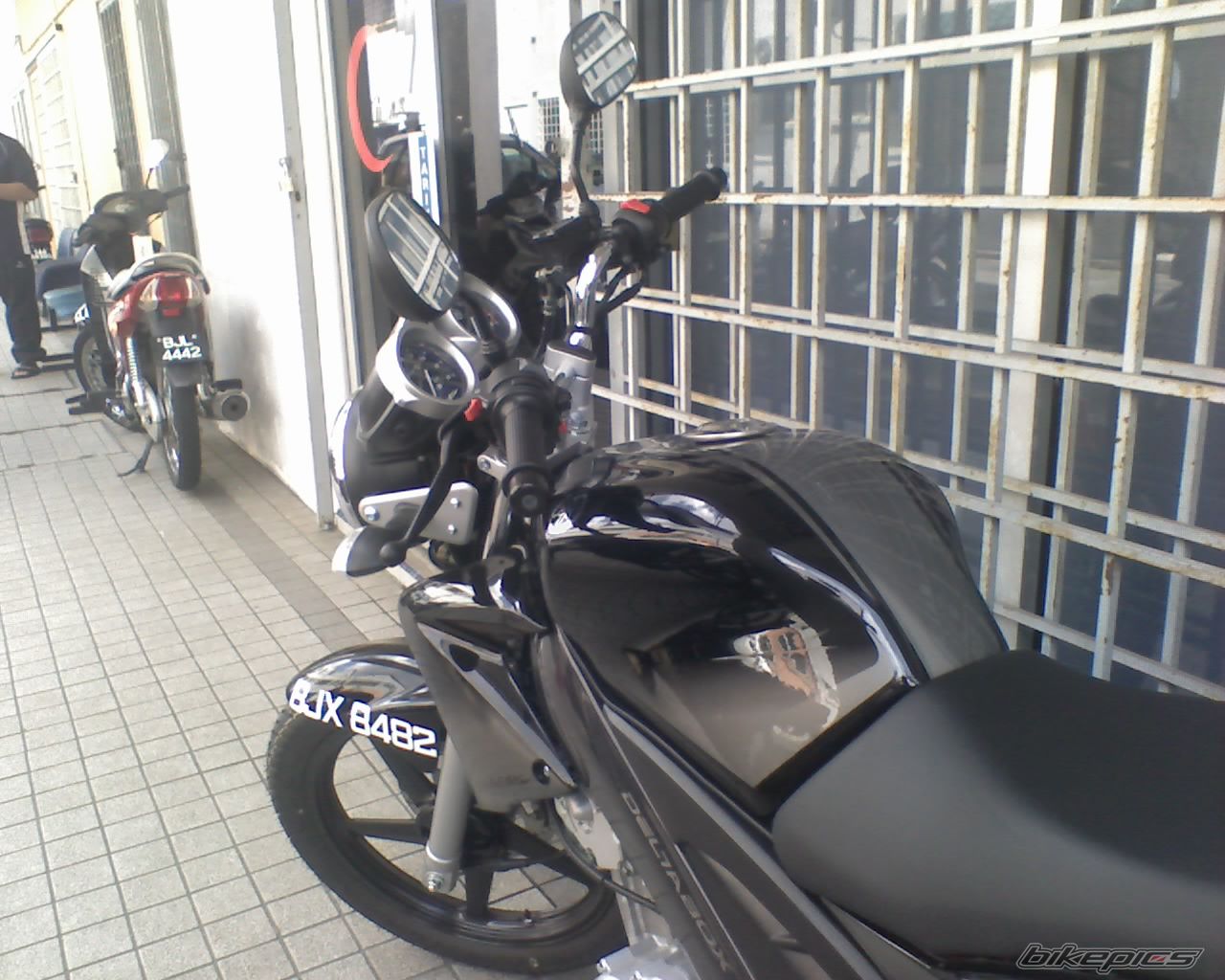 Photo 1310596