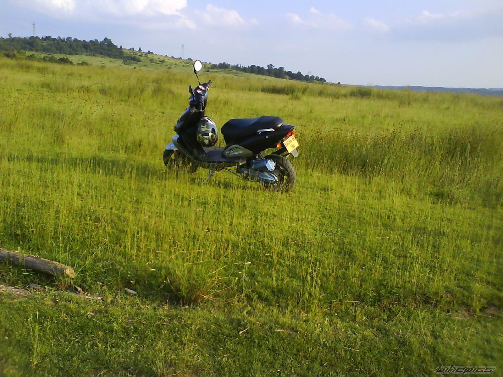 Photo 1310631