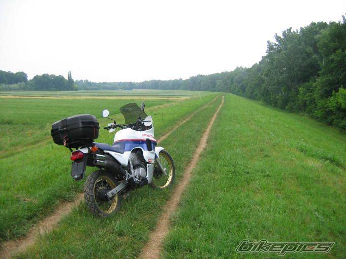 Photo 1310654