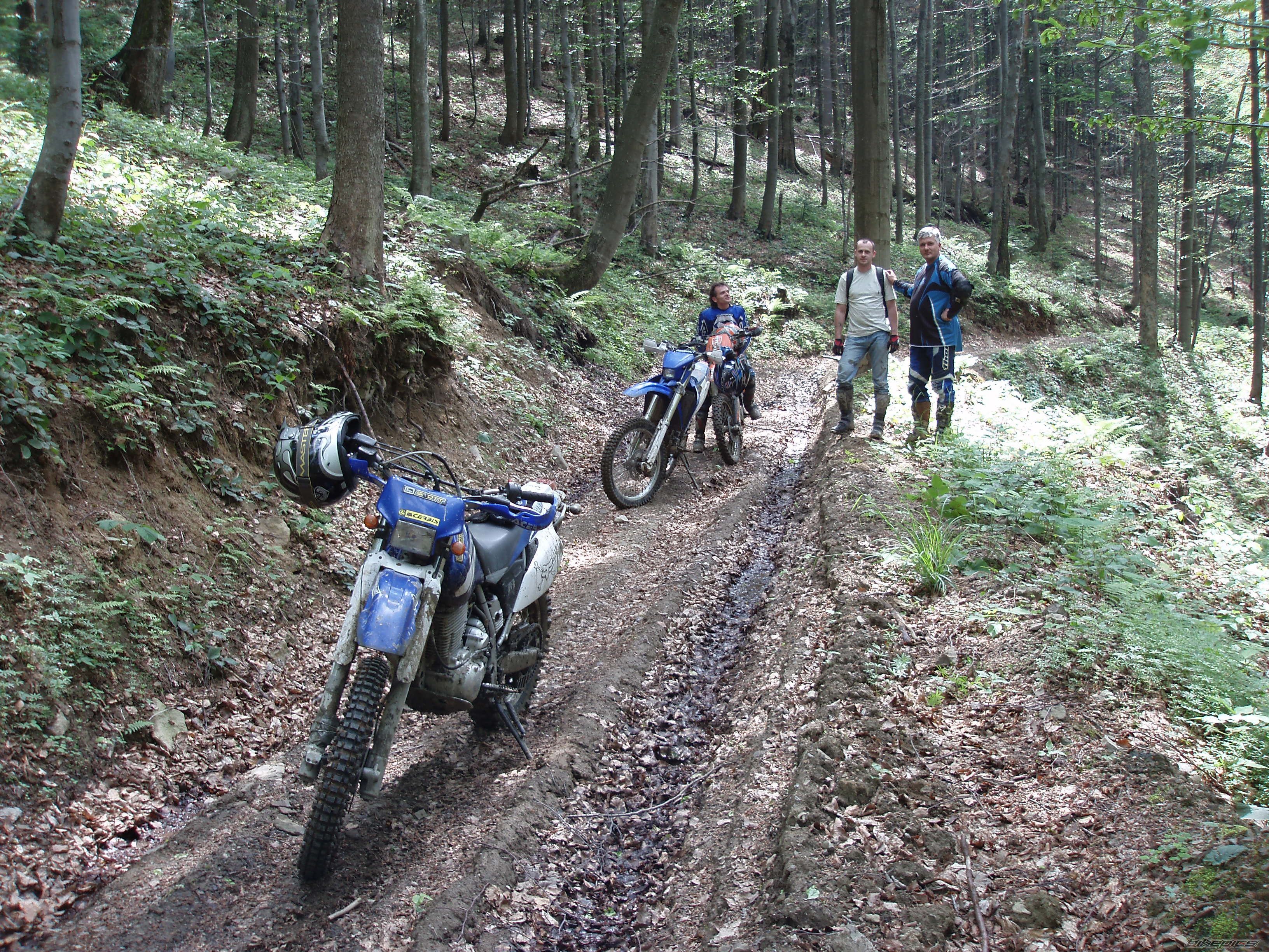 Bike Photo 1310682