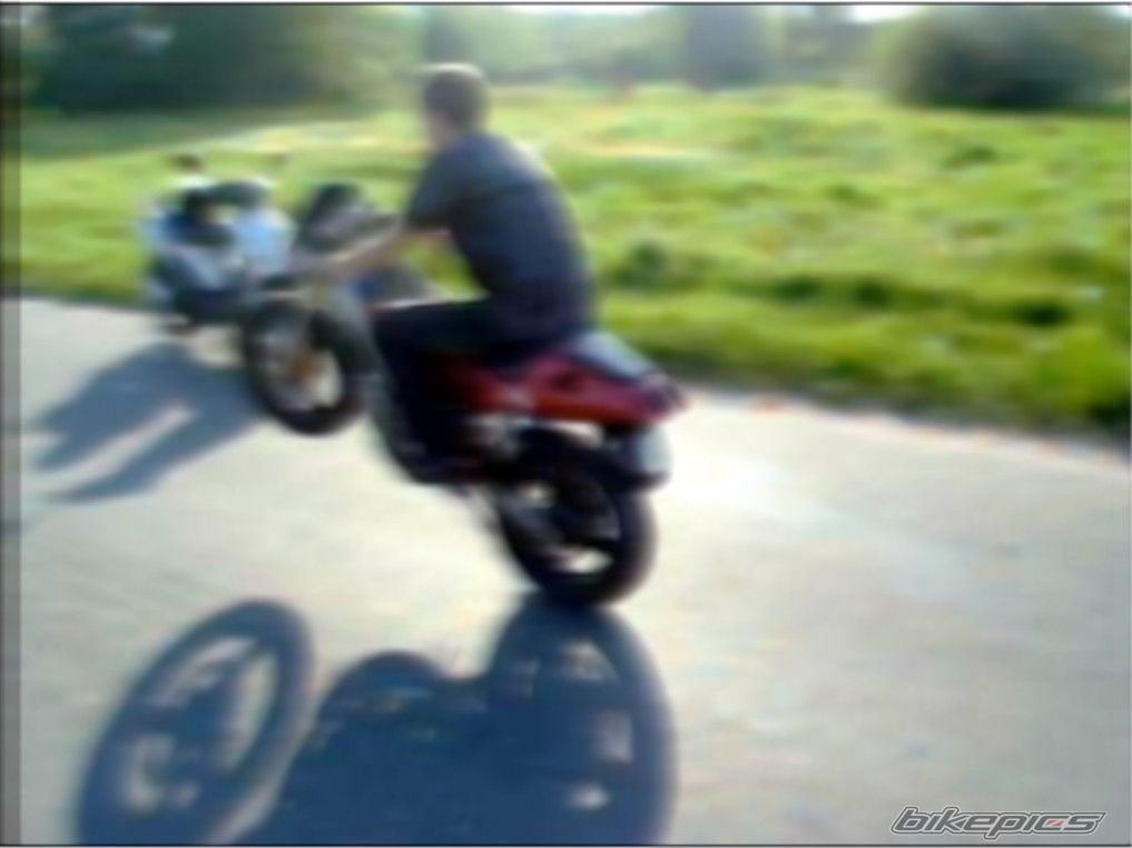 Photo 1310695
