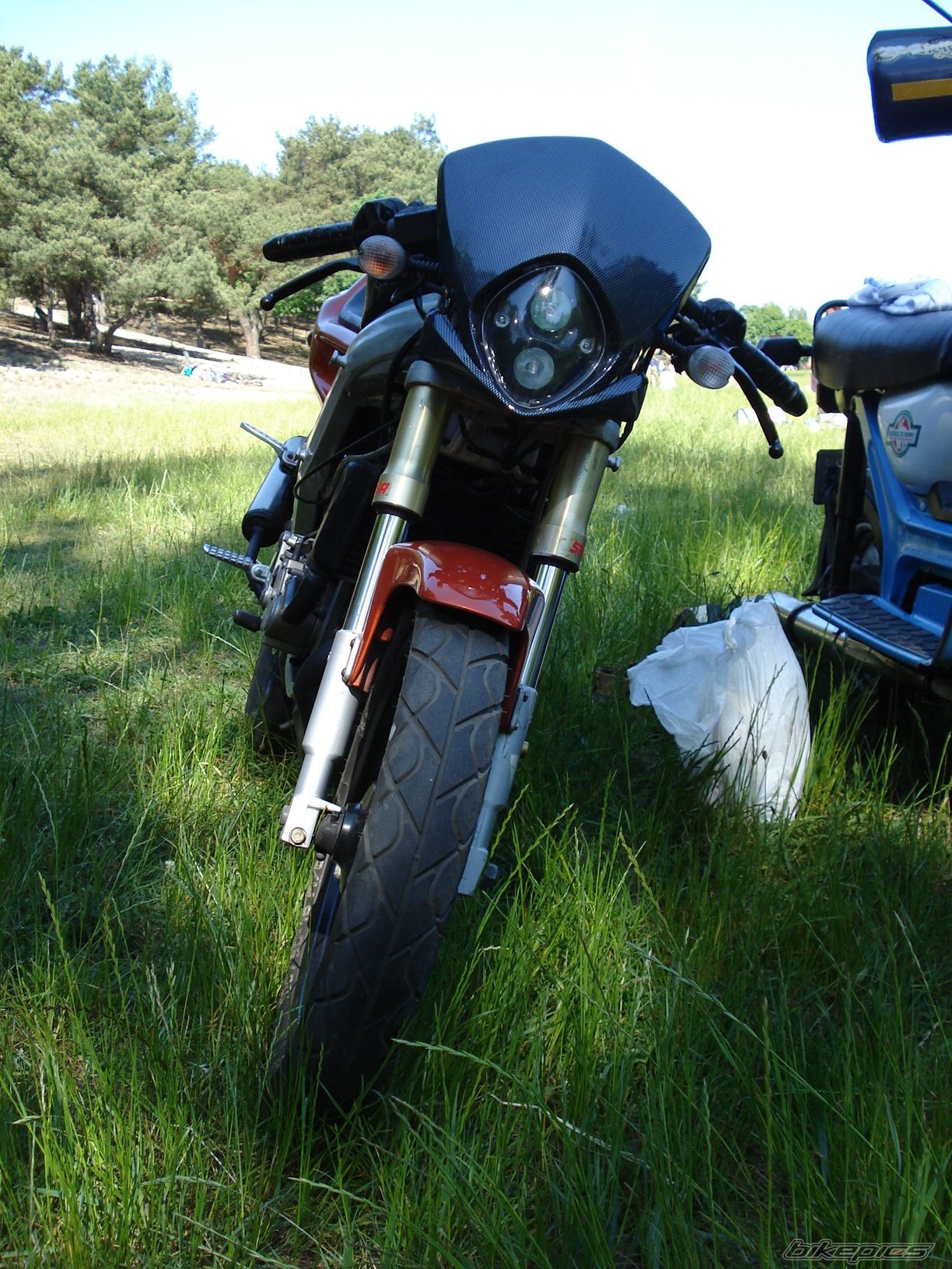 Photo 1310698