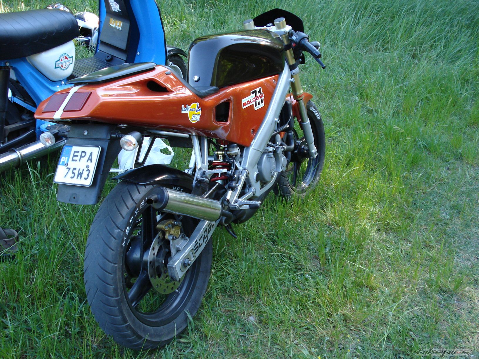 Photo 1310699