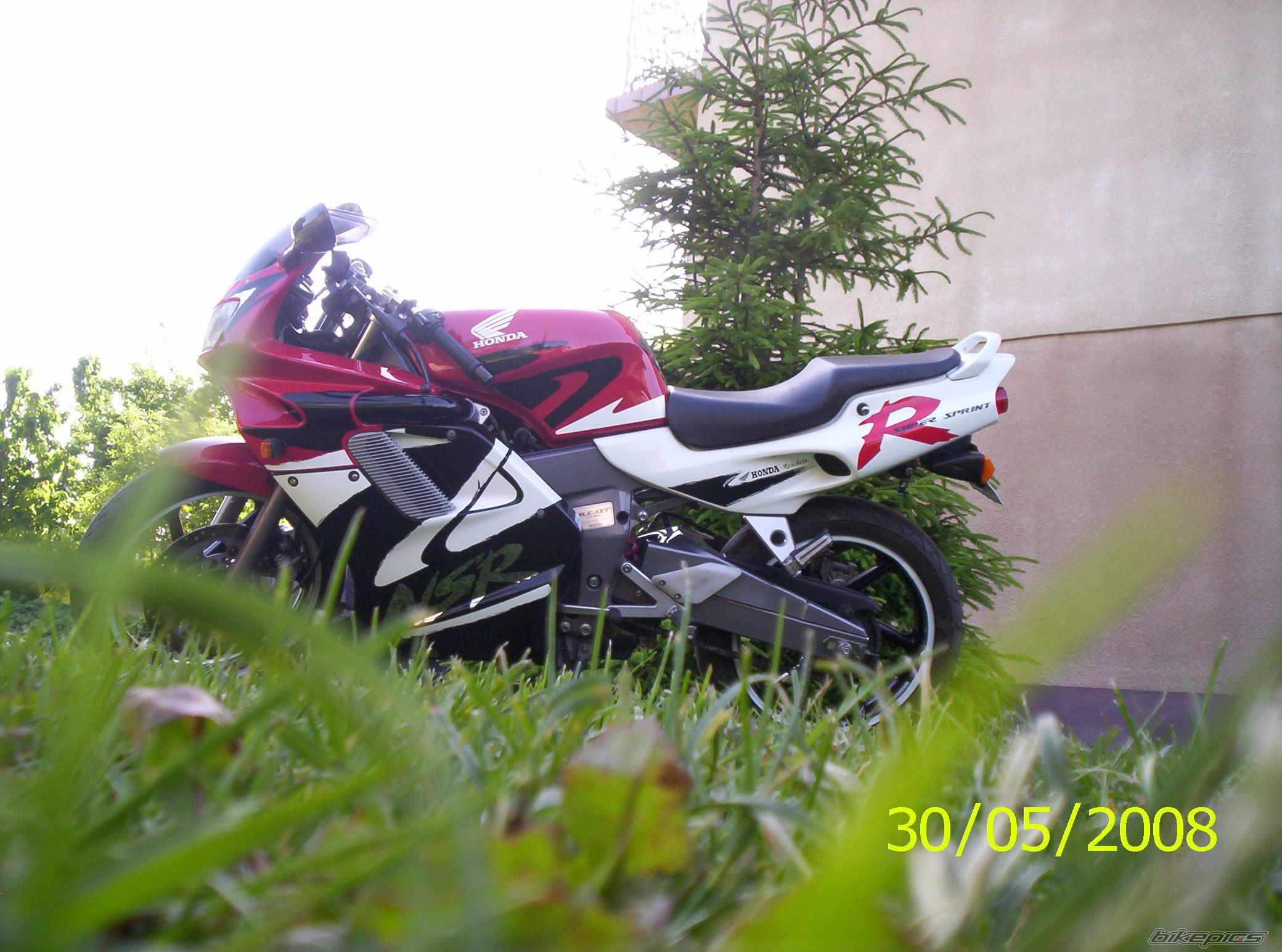 Photo 1310731