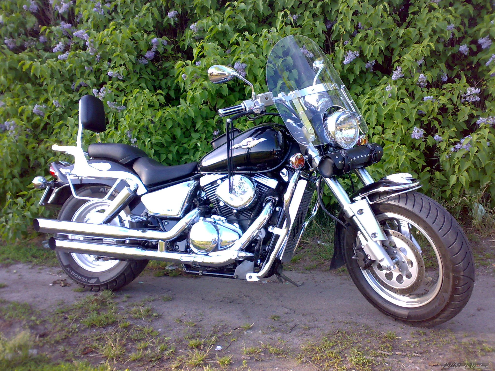 Photo 1310787