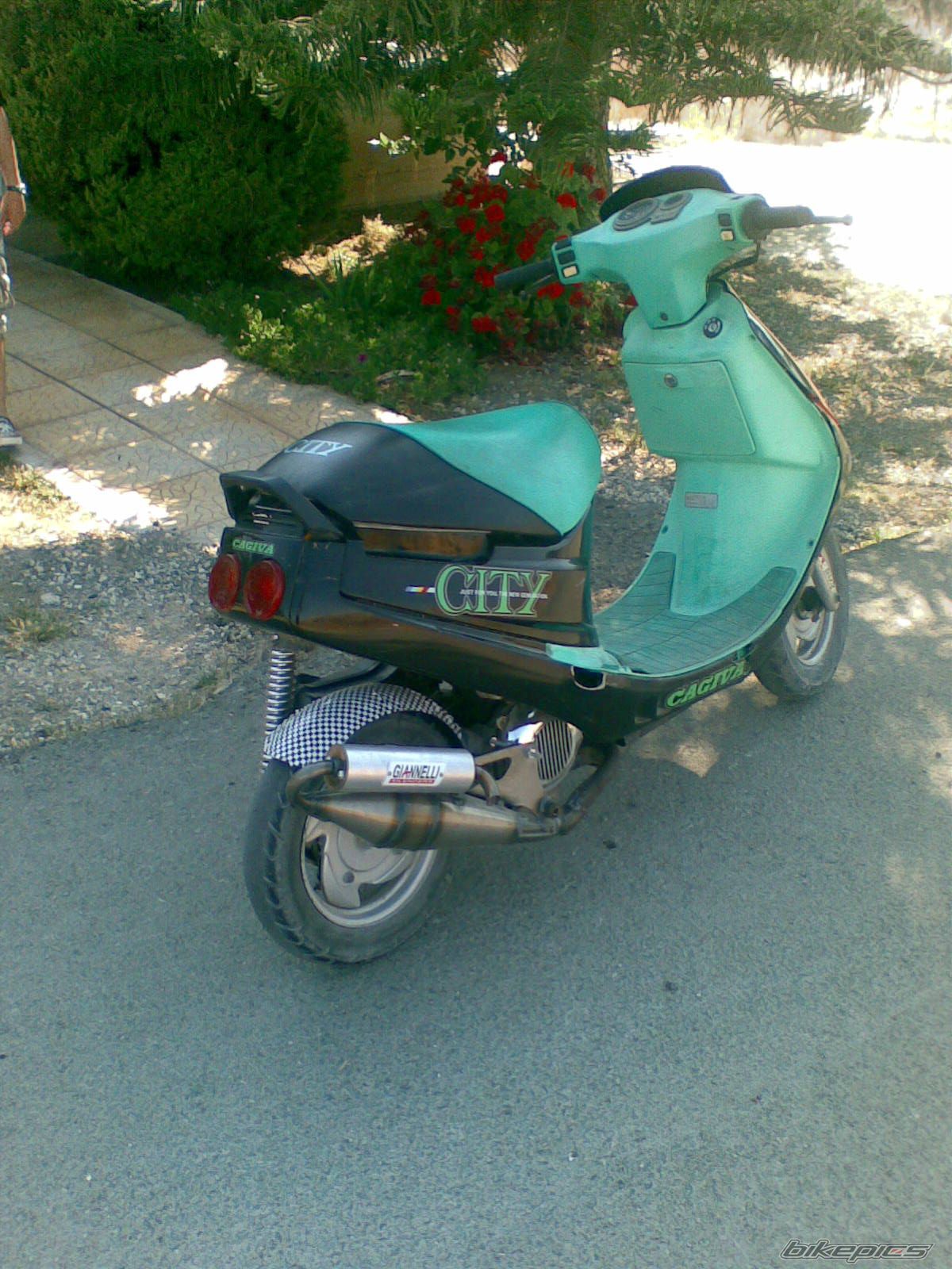 Photo 1310799