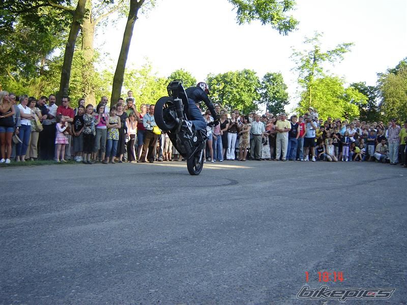 Photo 1310838