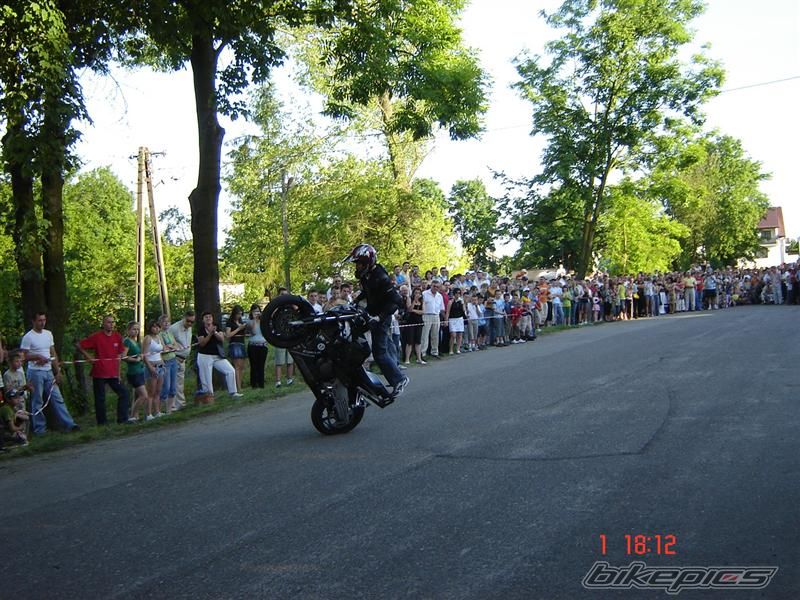 Photo 1310851