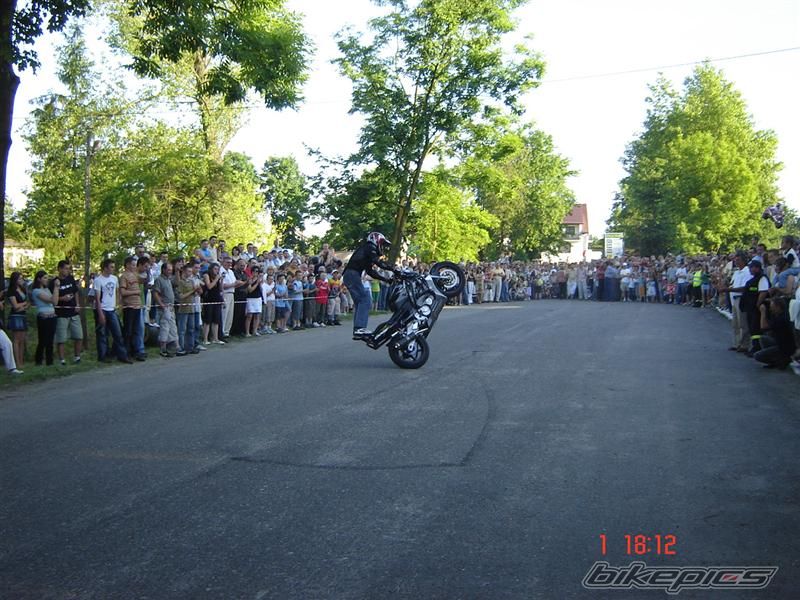 Photo 1310855
