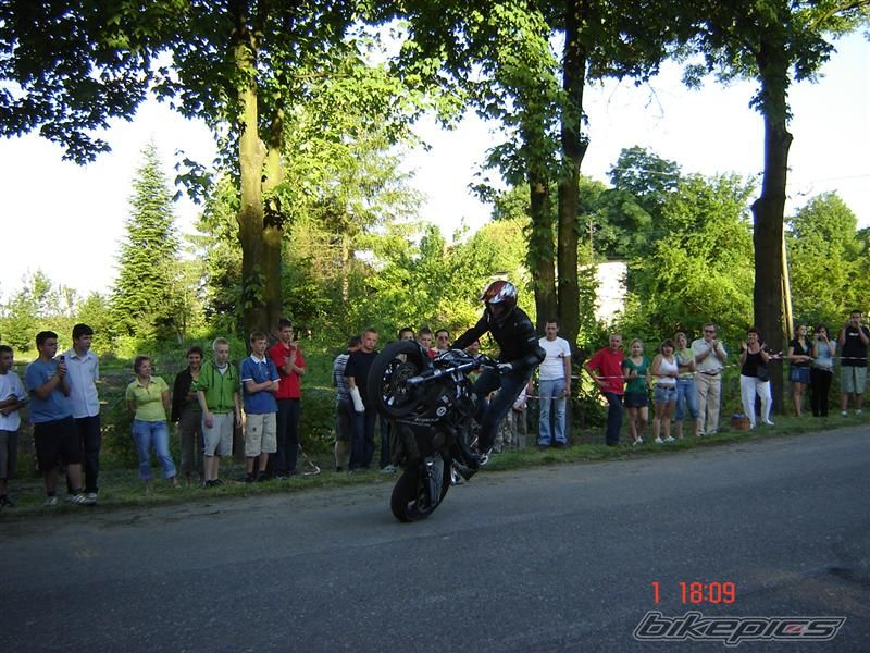 Photo 1310857