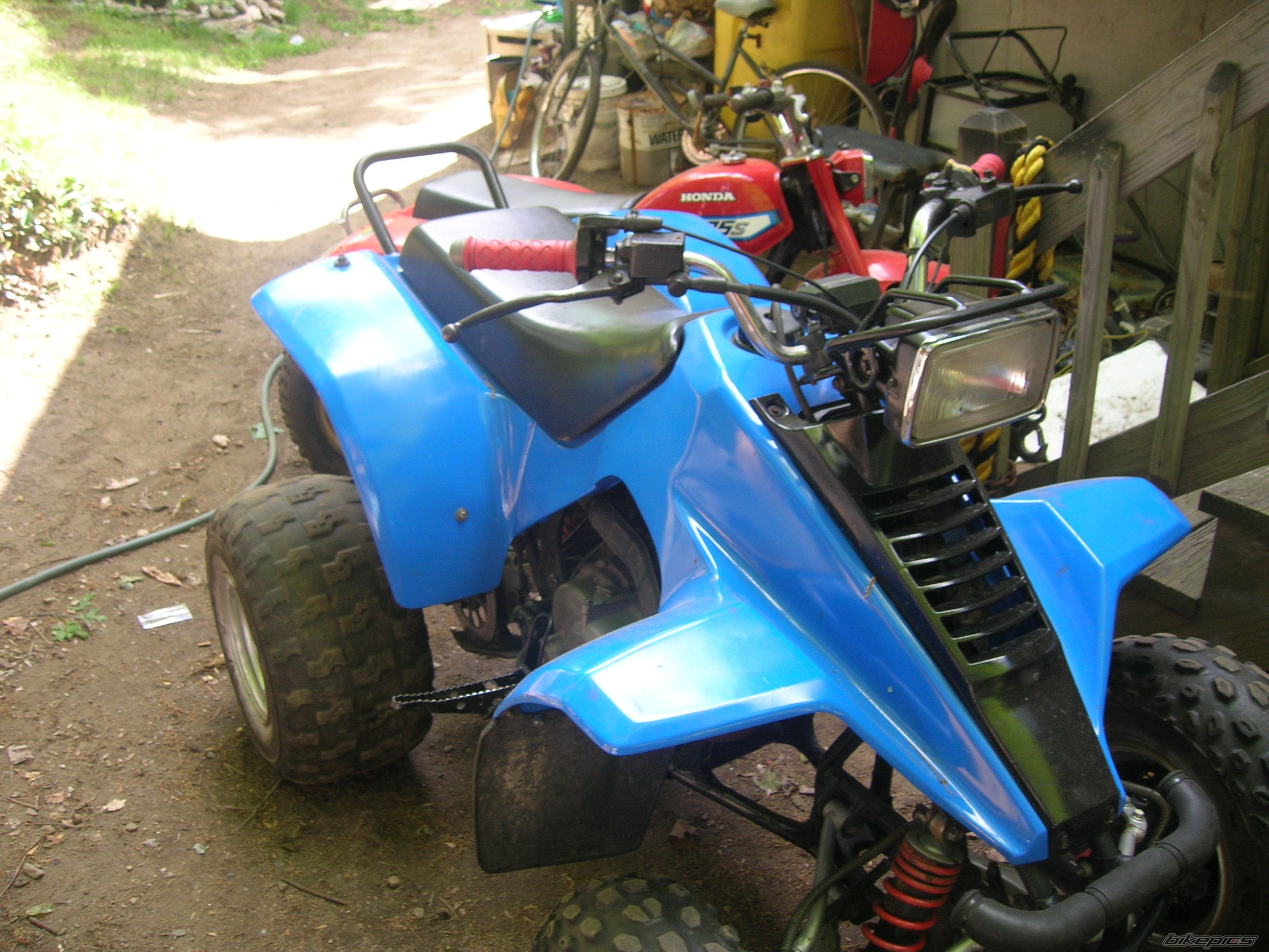 Photo 1310875