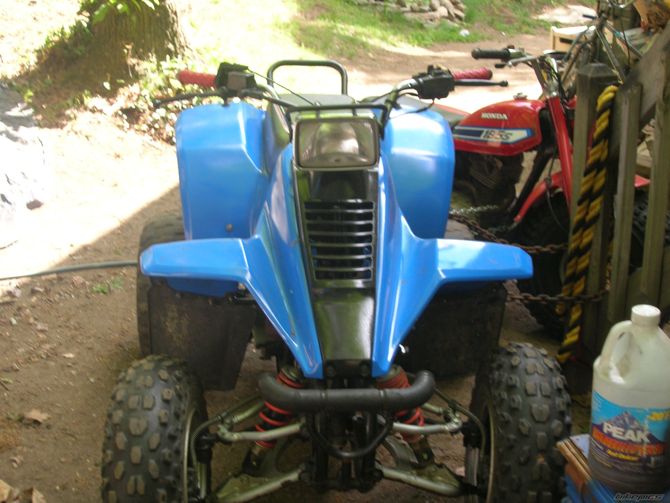 Photo 1310878