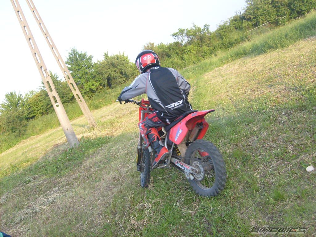 Photo 1310879