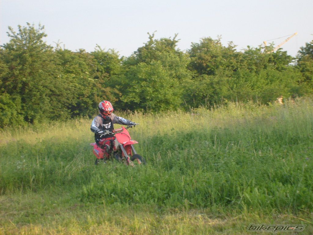 Photo 1310881