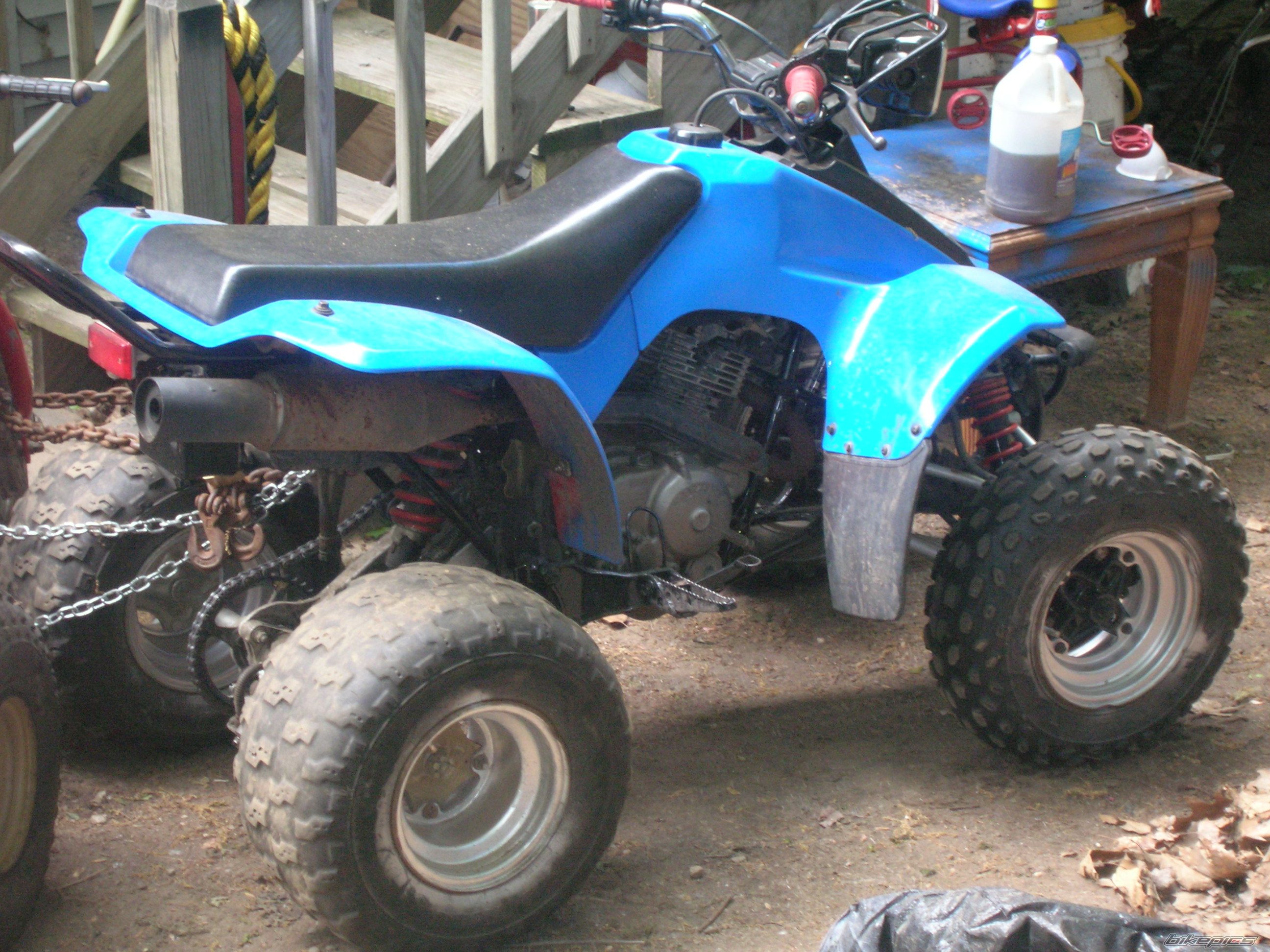 Photo 1310883
