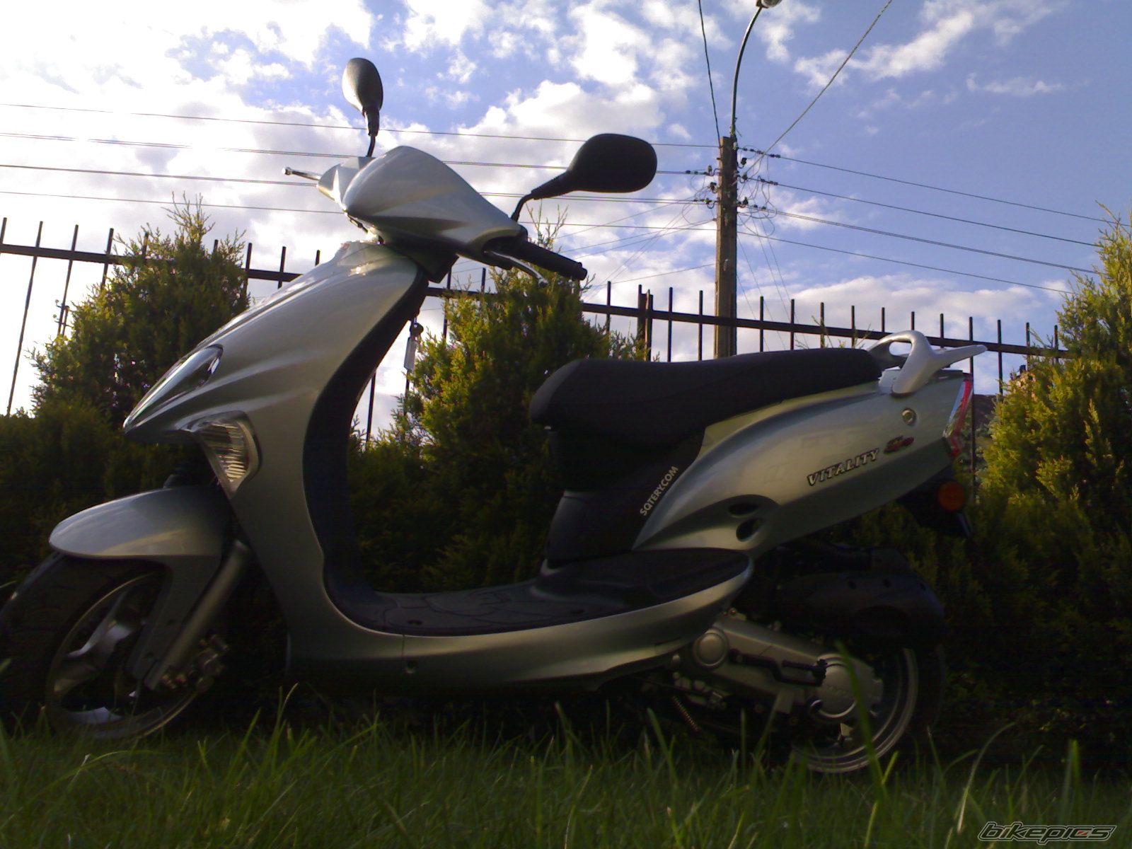 Photo 1310901
