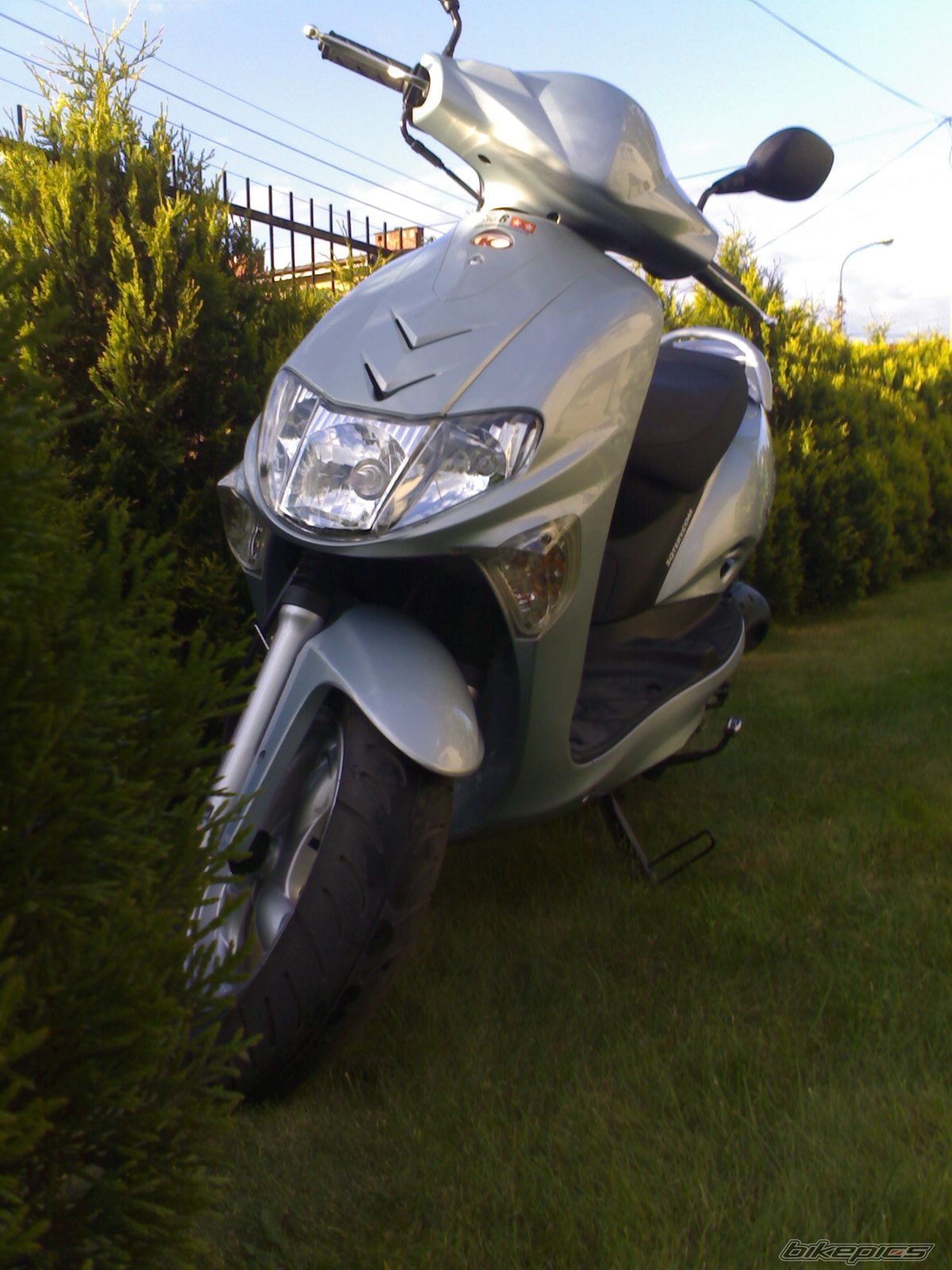 Photo 1310902