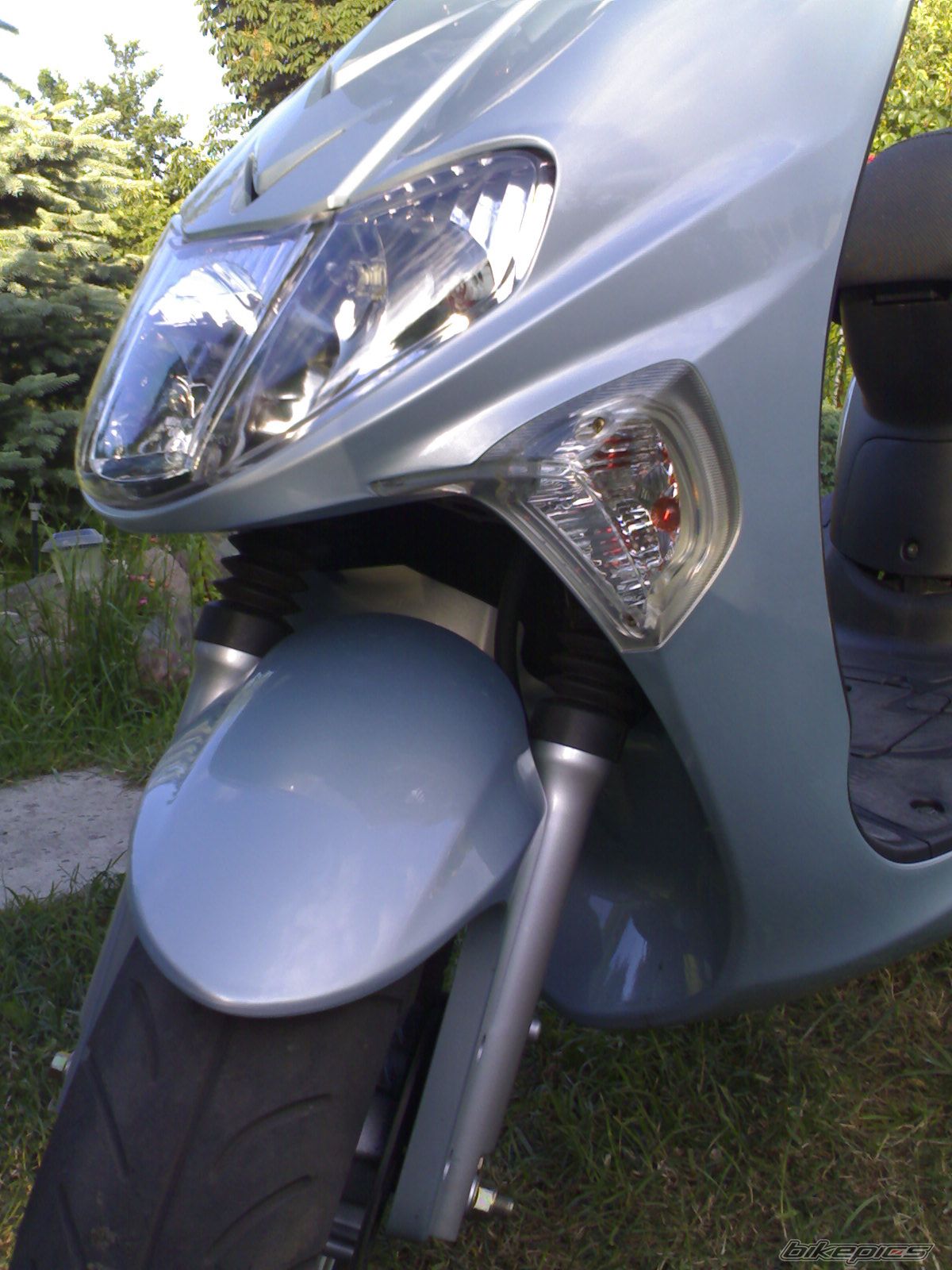 Photo 1310903