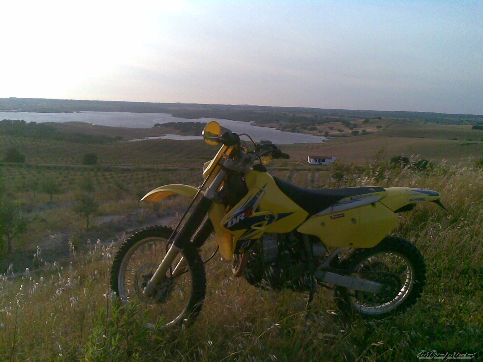 Photo 1310951