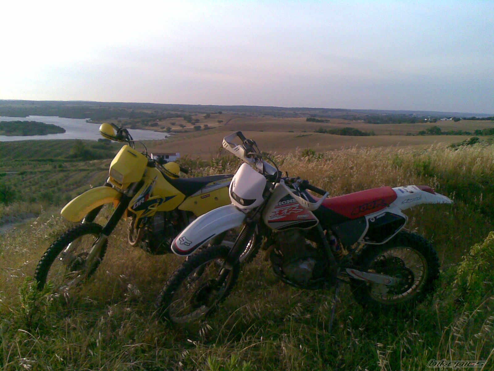 Photo 1310952
