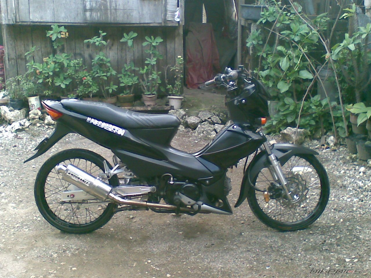 Photo 1311032