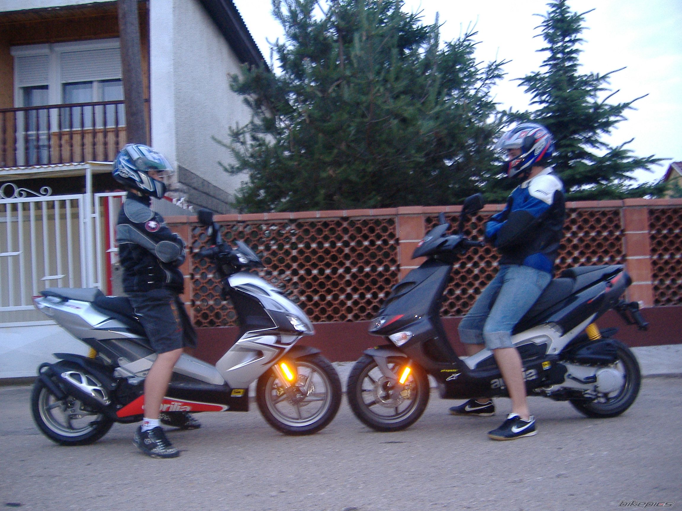 Photo 1311055