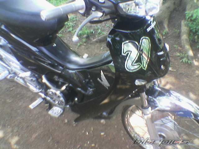 Photo 1311066