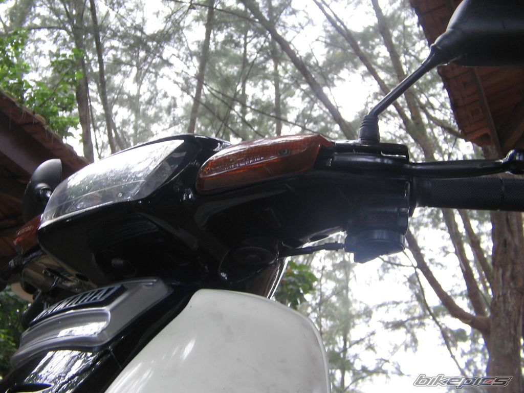 Photo 1311081