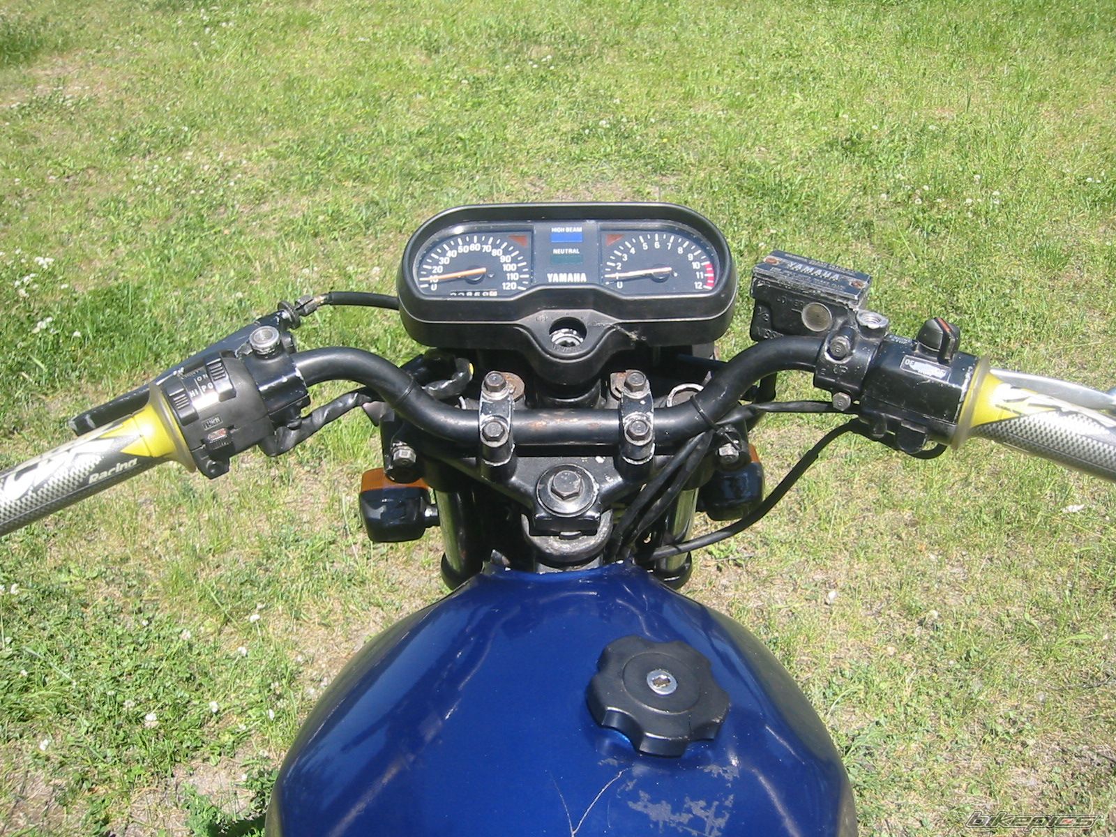Photo 1311345