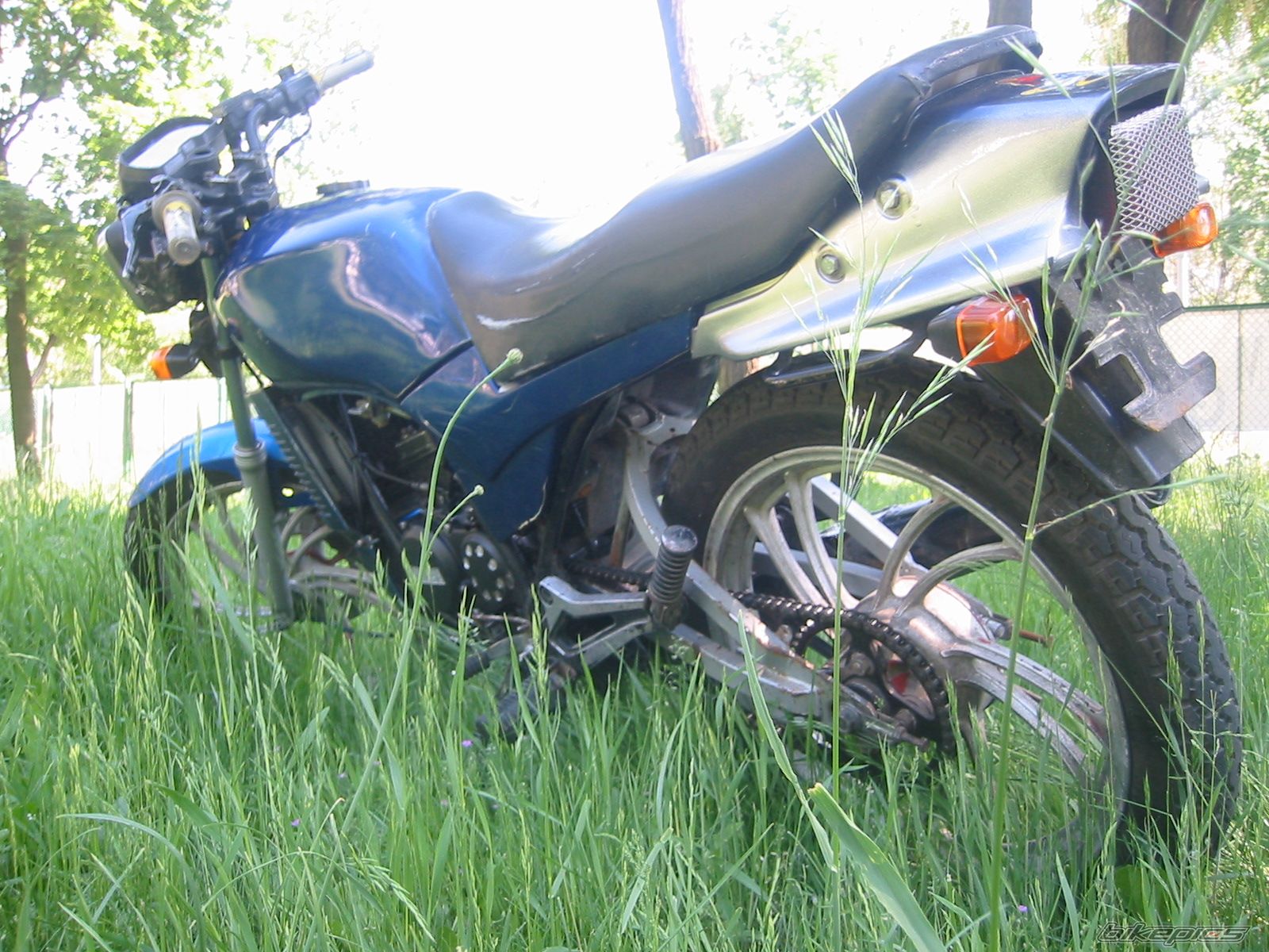 Photo 1311347
