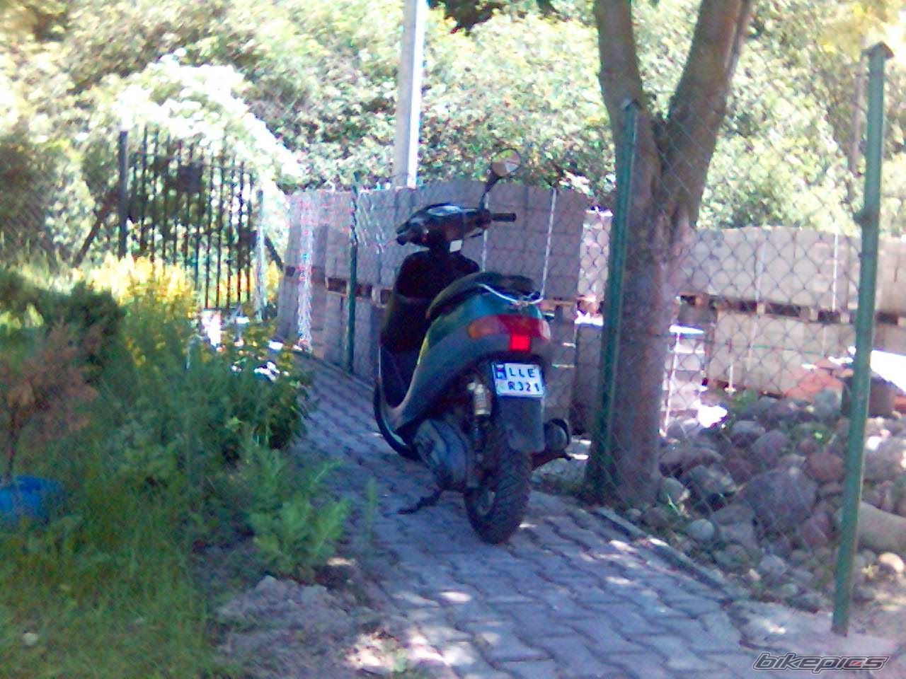 Photo 1311390