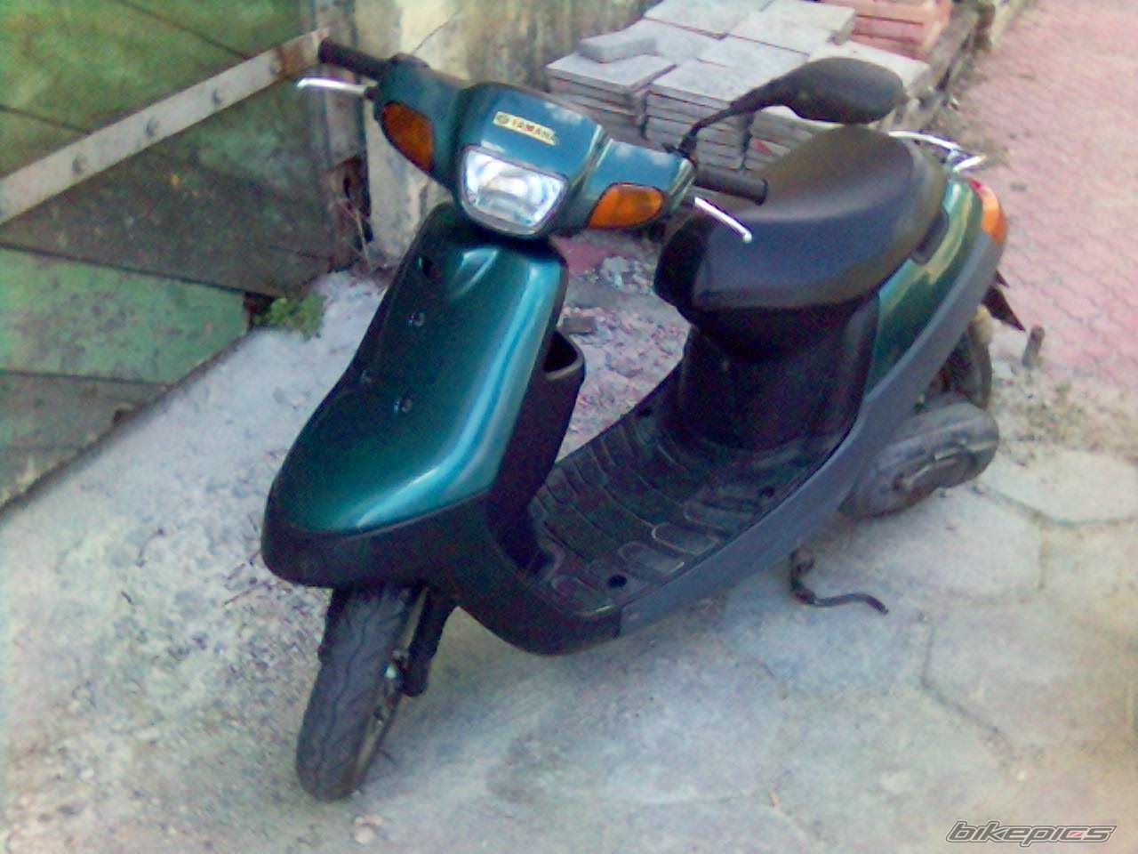 Photo 1311391