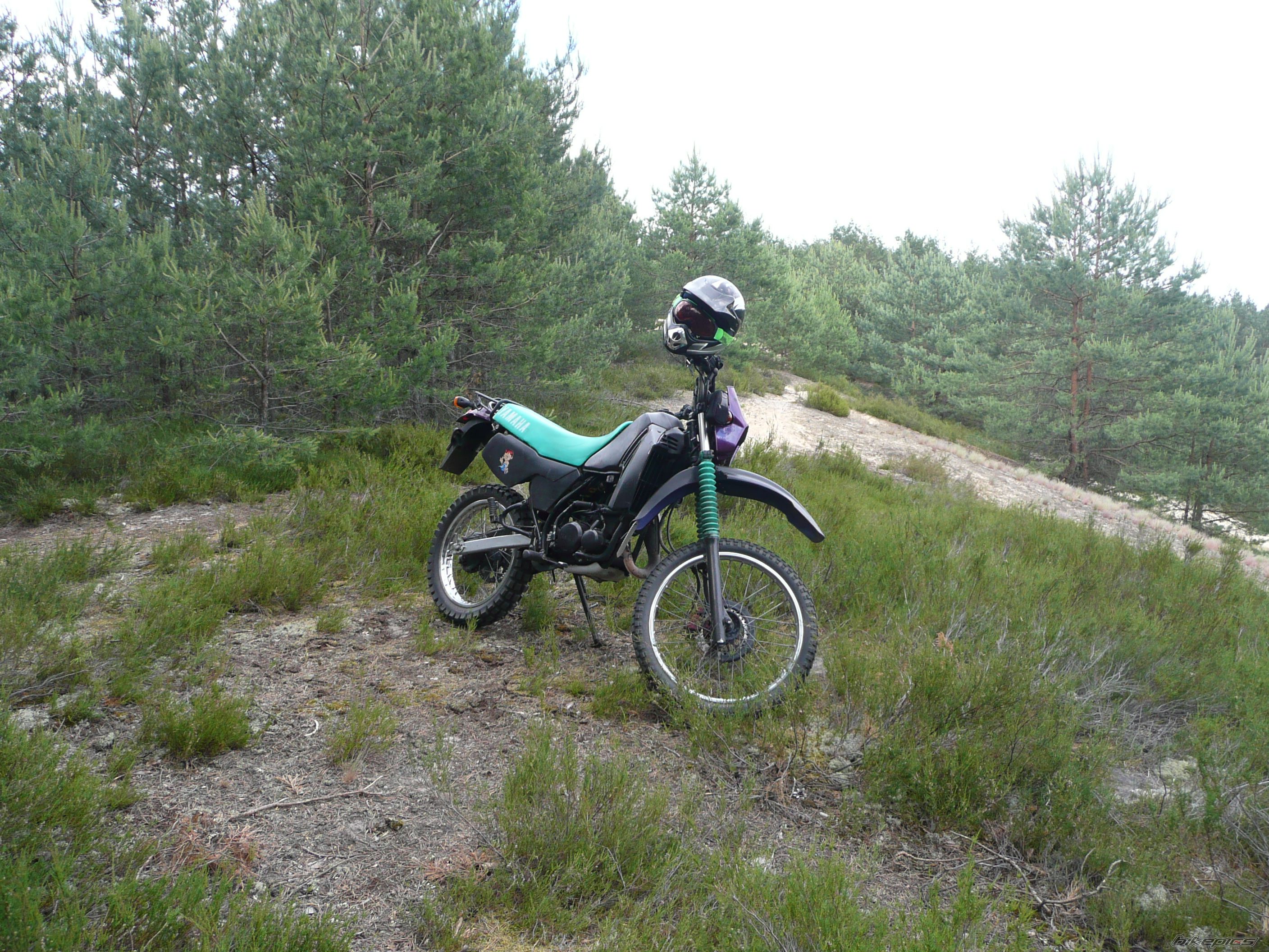 Bike Photo 1311411