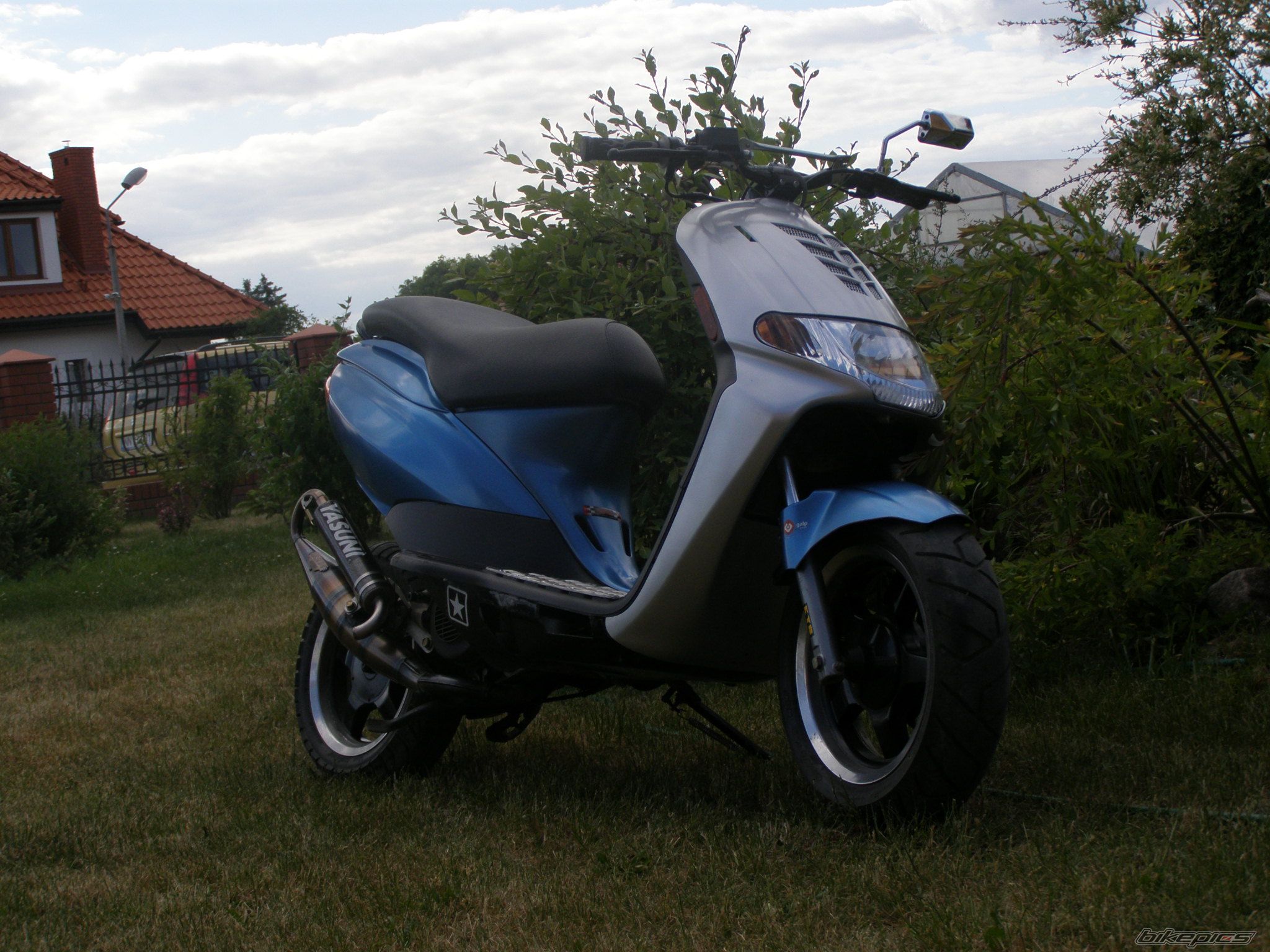 Photo 1311424