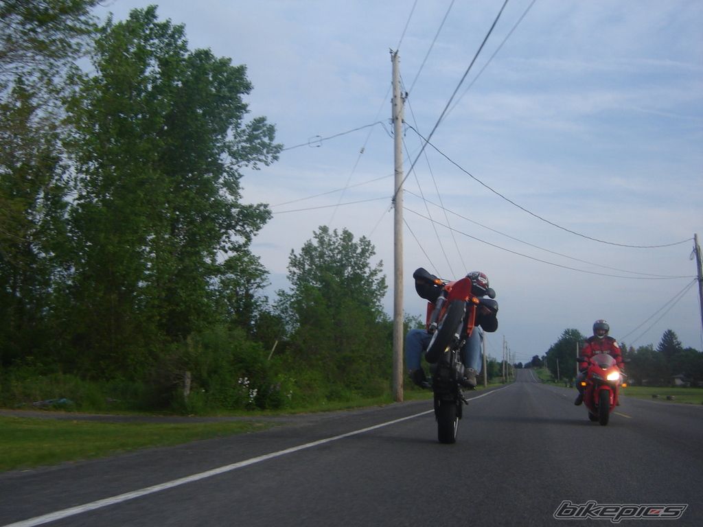 Photo 1311425