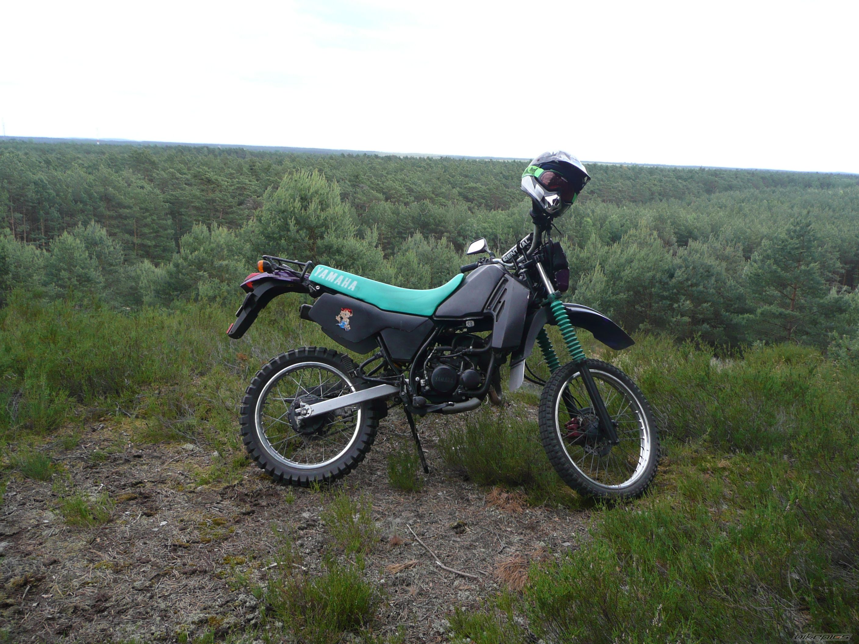 Bike Photo 1311449
