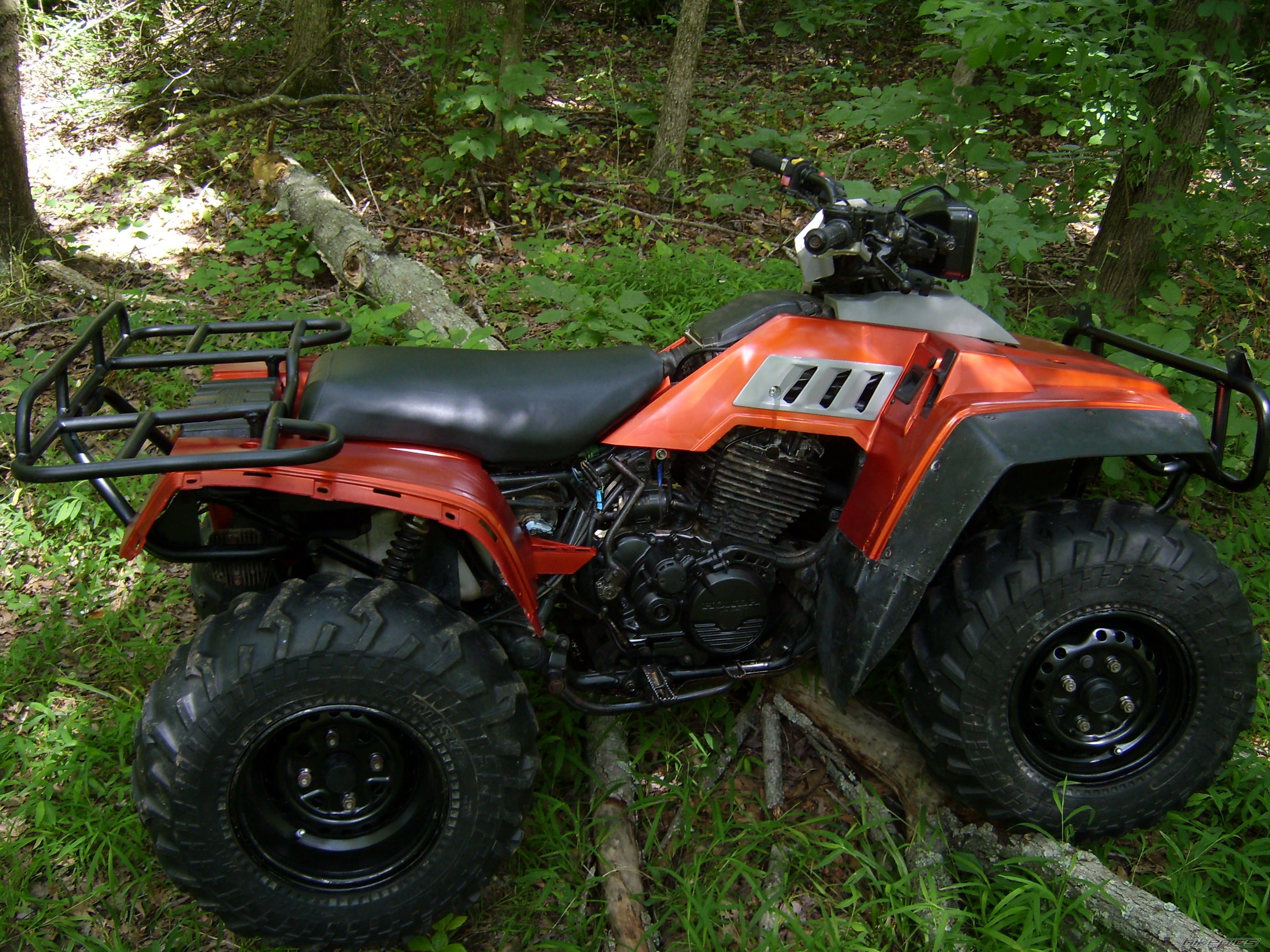 Photo 1311466