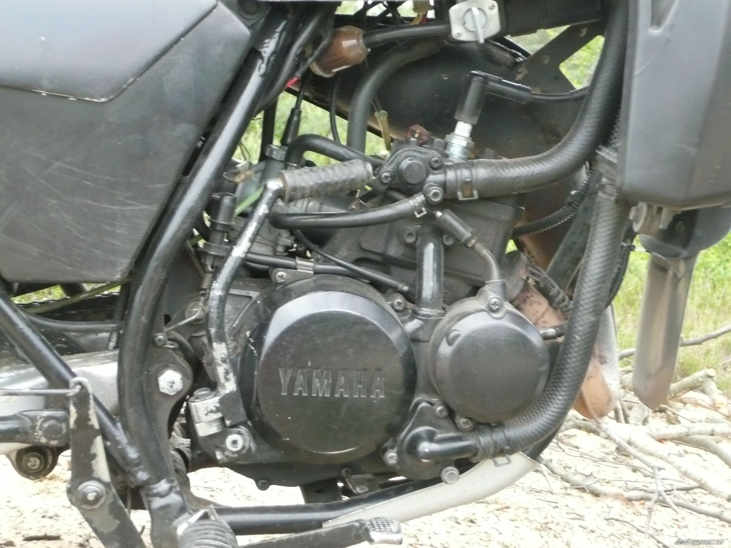 Bike Photo 1311480