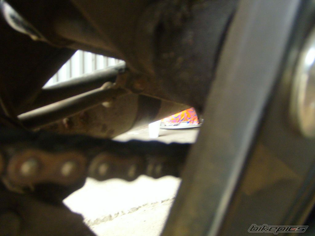 Photo 1311522