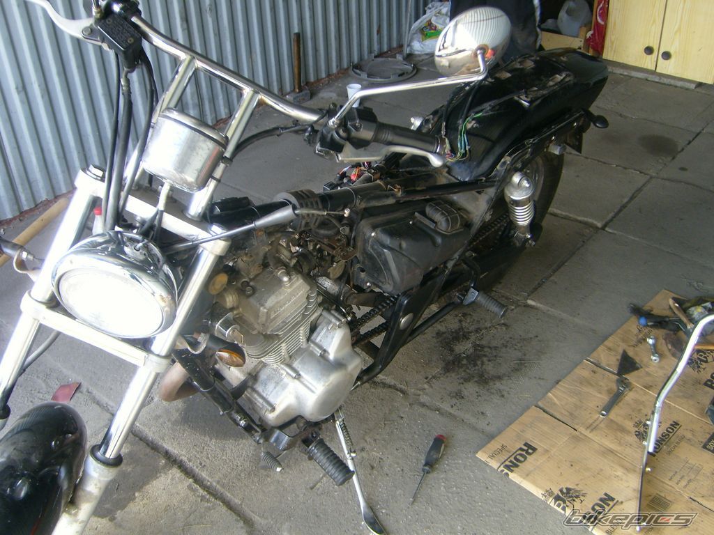 Photo 1311537