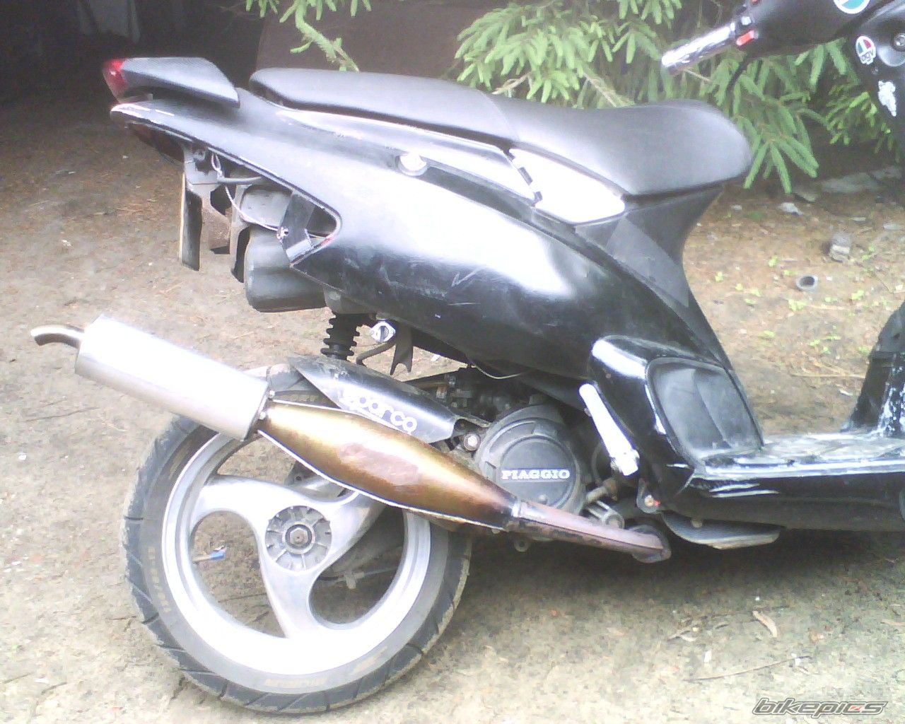 Photo 1311545
